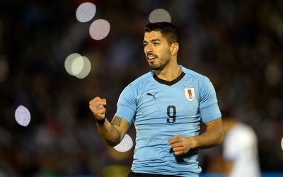 101博体育独家-凯特琳福特年收入女篮第一